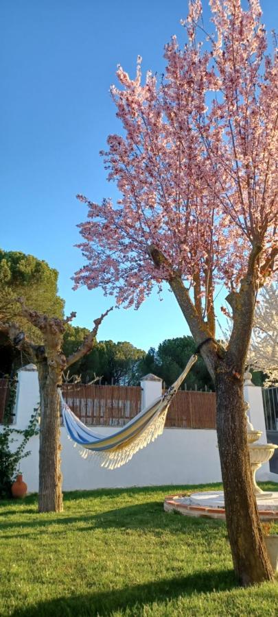 La Espiga Villa บายาโดลิด ภายนอก รูปภาพ